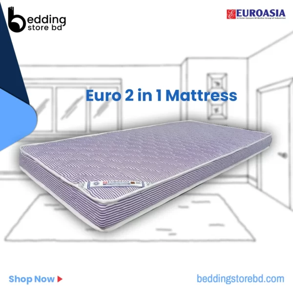 Euro 2 in 1 mattress