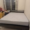 "Customer photo enjoying premium latex orthopedic mattress for spinal support and comfort"