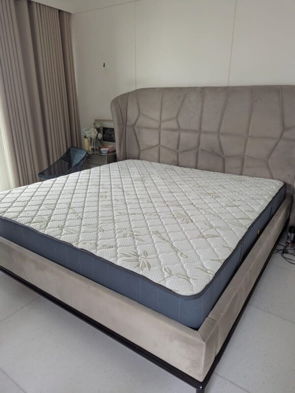 Latex Pocket Mattress best 1