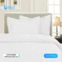 Bed Sheet White Cotton best 1