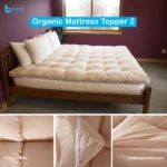 Organic Mattress Topper 2 best
