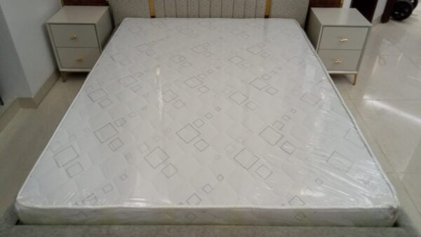 Orthopedic Mattress bd best 1