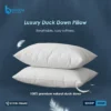 Luxury Duck Down Feather Pillow with premium softness and elegant design – ideal for restful, high-comfort sleep.