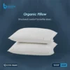 Organic Pillow | Natural Sleep Comfort - Bedding Store BD