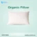 Shimul Pillow best 1