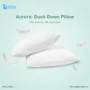 Aurora Duck Down Pillow Best 1