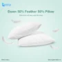 Down 50 Feather 50 Pillow