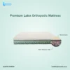 Latex Orthopedic Premium best 1