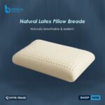 Natural Latex Pillow Breade | Neck Pain Relief - Bedding Store BD