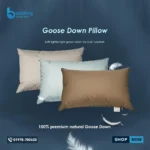Premium Goose Down Pillow - Ultra Soft | Bedding Store BD