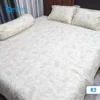 Premium Quality Colorful Reactive Printed Bedsheet for Bedroom Decor