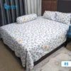 Premium Quality Colorful Reactive Printed Bedsheet for Bedroom Decor