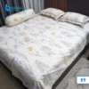 Premium Quality Colorful Reactive Printed Bedsheet for Bedroom Decor